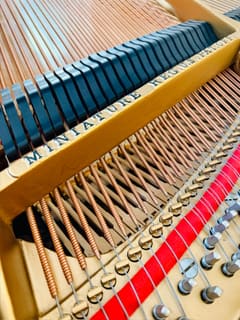 Professional piano cleaning service